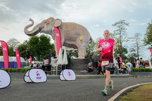 BIB: 
                            <button type="button" onclick="openModal(26528693)" class="btn btn-primary btn-sm float-right btn-popup" data-toggle="modal" data-target=".modal-high-quality">
                        <i class="fas fa-shopping-cart"></i> Add to Cart
                    </button>
                                            <button type="button" onclick="isThisMe(26528693, true)" class="btn btn-success btn-sm float-right btn-popup btn-isme hidden" data-toggle="tooltip" data-placement="bottom" title="นี่คือรูปของคุณใช่ไหม คลิกที่นี่เพื่อเอาเข้าอัลบั้ม">
                        <i class="fas fa-plus"></i> Add to album
                    </button>
                    <button type="button" onclick="isThisMe(26528693, false)" class="btn btn-warning btn-sm float-right btn-popup btn-isnotme hidden">
                        <i class="fas fa-ban"></i> Remove from album
                    </button>